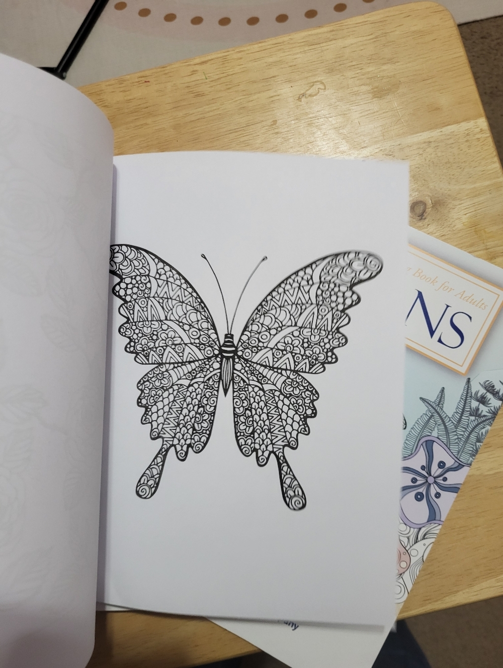 Adult Stress Relieving Coloring Book with Colored Pencils - Picture 5 of 9